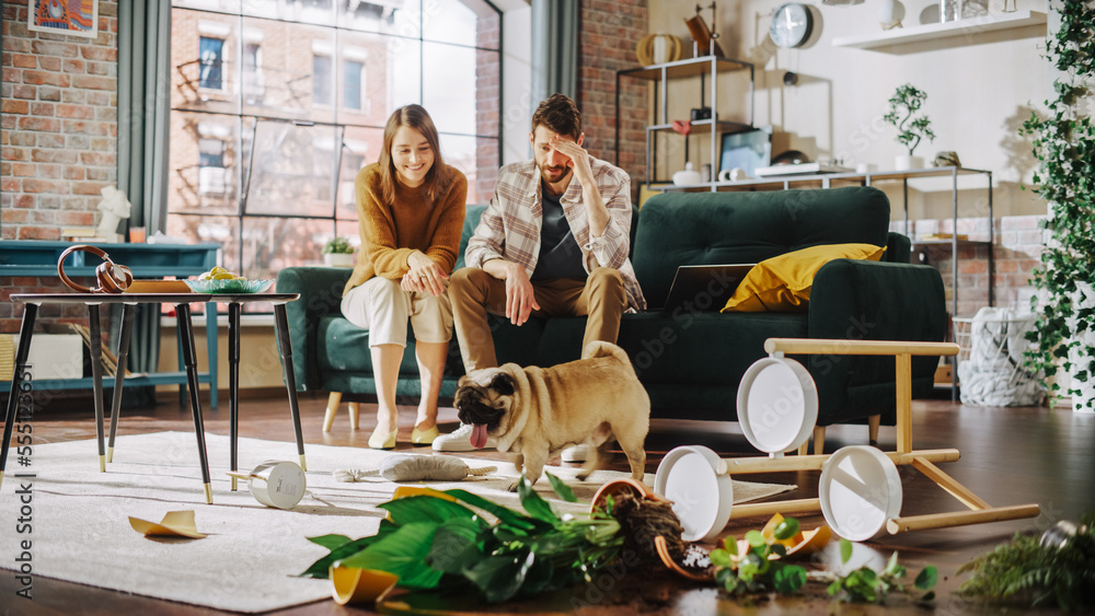 Funny Moment: Pug Dog Runs Away After Ruining Potted Flower by Overturning it and Making Mess in the