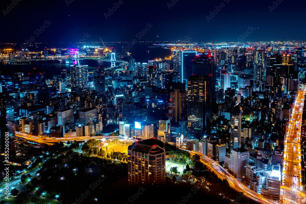 Skyscrapers and highways through Minato, Tokyo, Japan