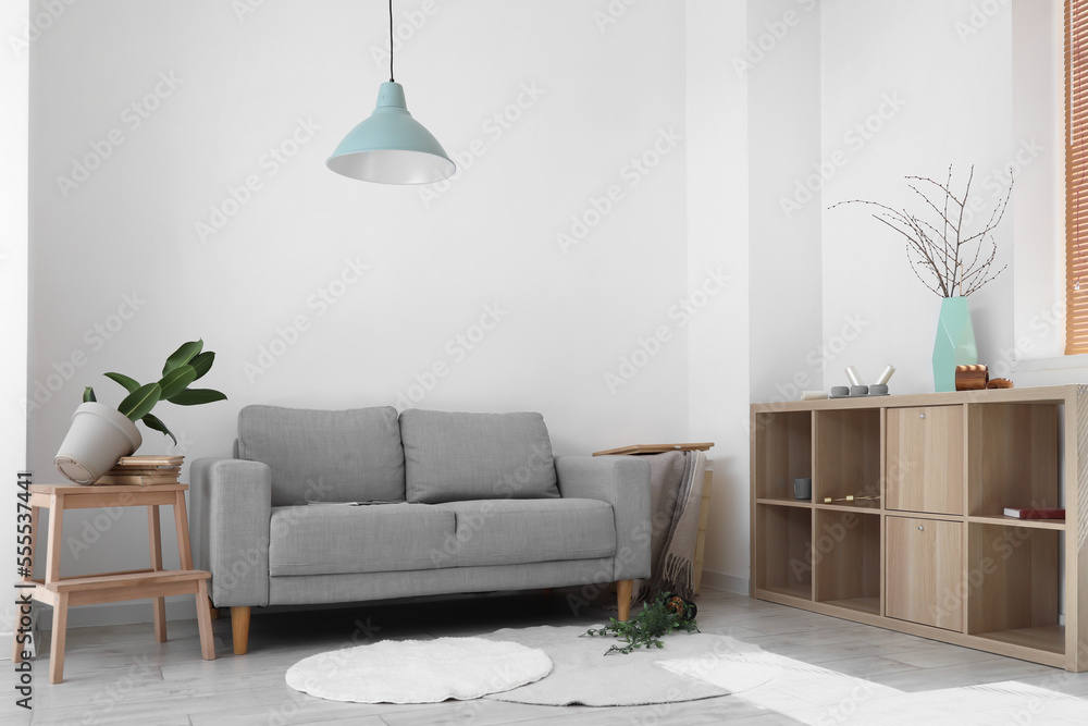 Interior of messy living room with grey sofa and fallen houseplants