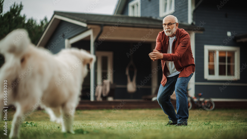 Active Senior Man Enjoying Time Outside with a Pet Dog, Playing with an Energetic White Golden Retri