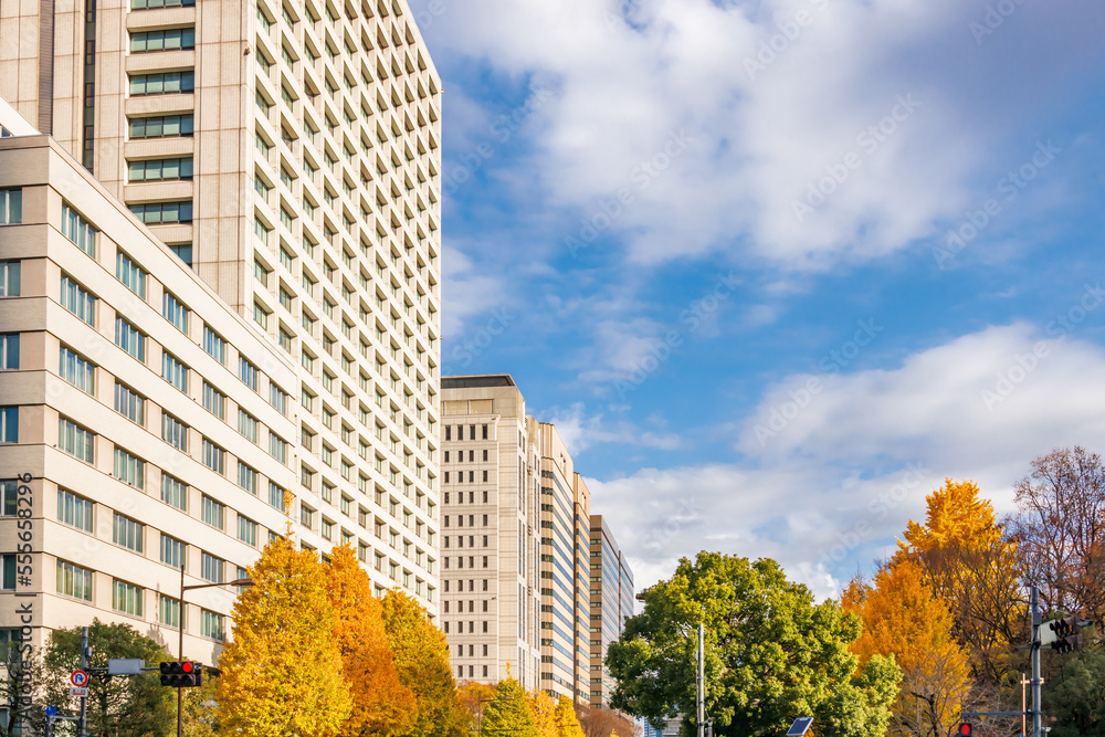 東京のビル群と紅葉した木