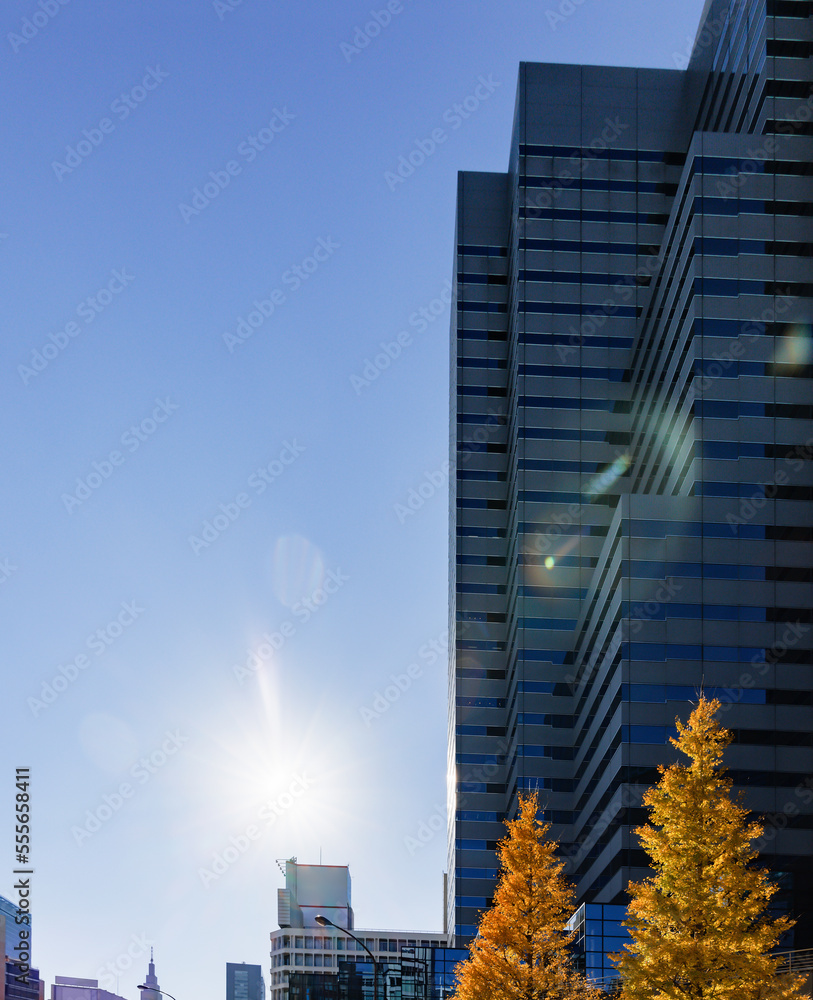 東京のビル群と紅葉した木