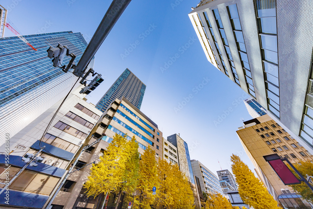 東京のビル群と紅葉した木