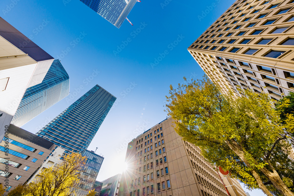 東京のビル群と紅葉した木