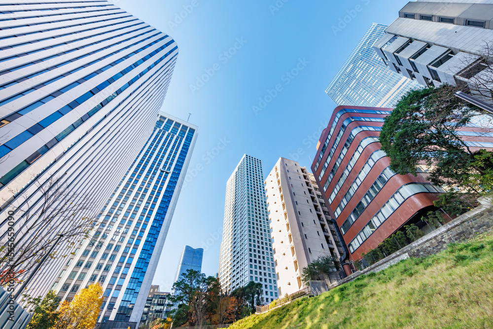 東京のビル群と紅葉した木