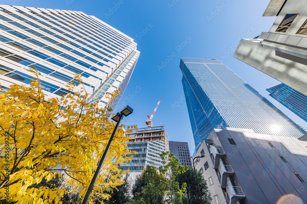 東京のビル群と紅葉した木