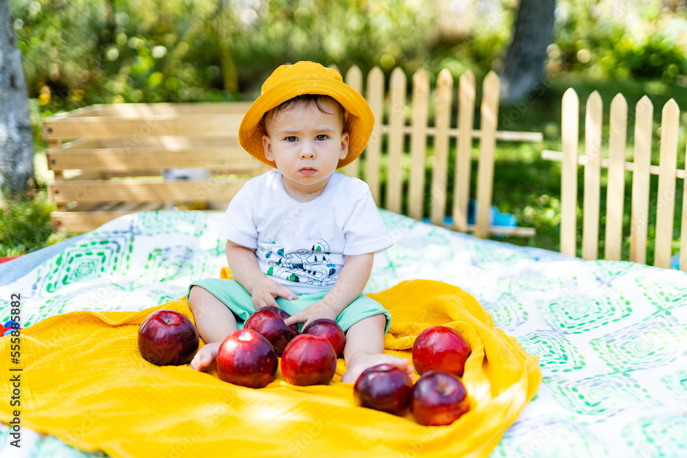 Portrait of a little happy boy at the picnic. Beautiful baby boy eating apple on the lawn. Outdoor l