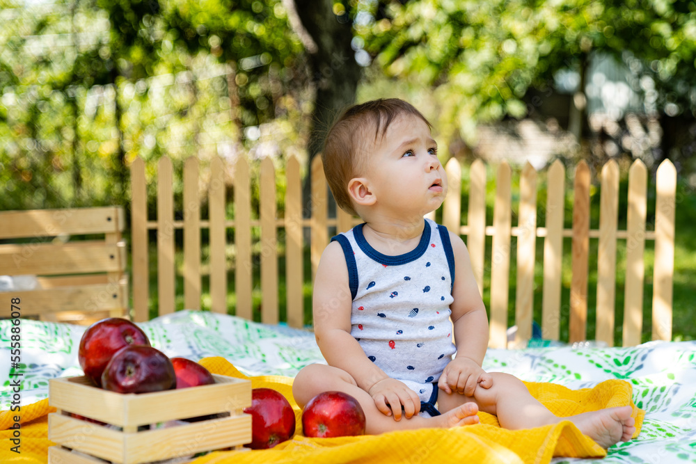 Little boy with apples in the garden. Portrait of a little happy boy at the picnic. Baby boy eating 