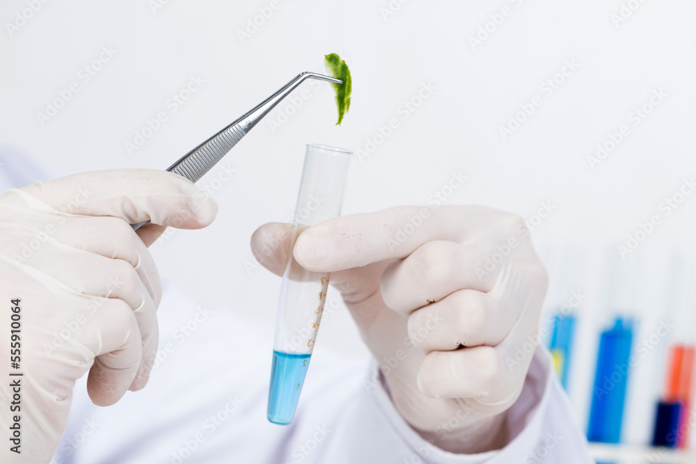 Scientist puts sample into test tube