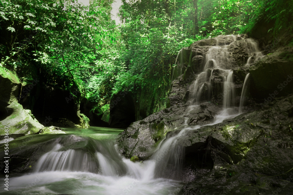 Beautiful Waterfall in Bali, Indonesia