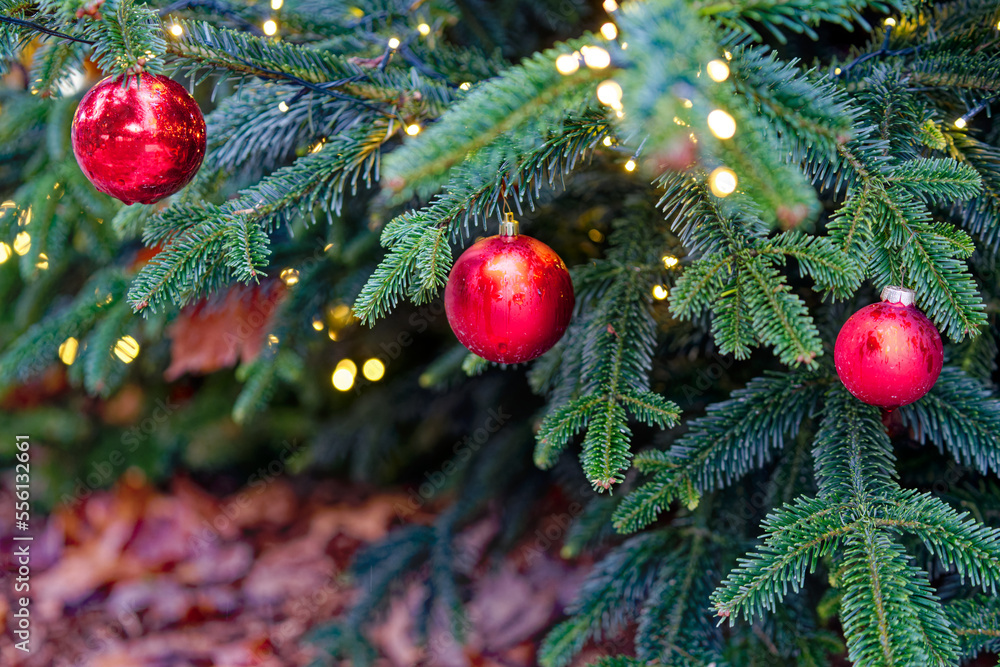 Christmas tree with Christmas lights with bokeh and red Christmas bauble decoration at City of Züric