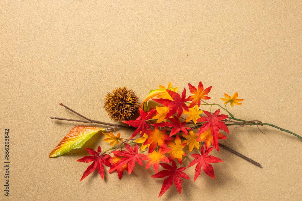 紅葉のイメージ　Image photo of autumn leaves in Japan