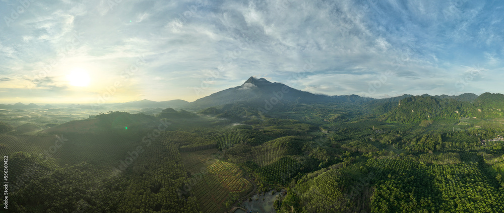 Aerial view drone shot of panorama abundant rainforest landscape nature mountains view