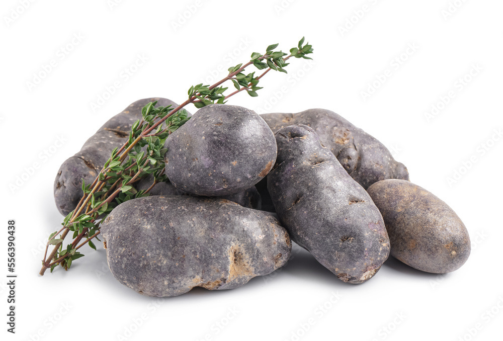 Heap of raw purple potatoes and herbs on white background