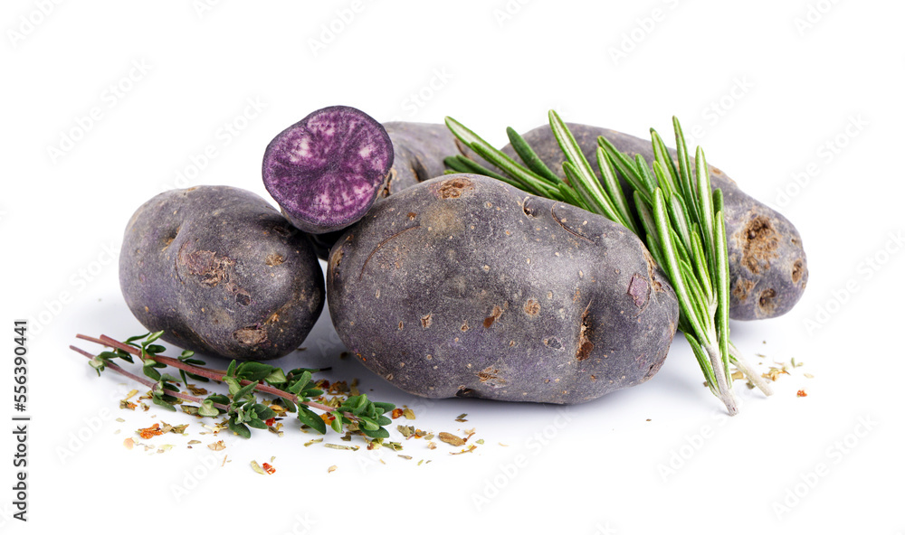 Heap of raw purple potatoes and herbs on white background