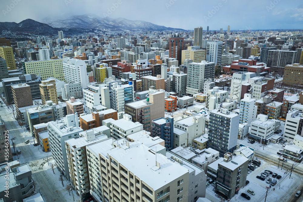 札幌冬季城市景观鸟瞰图