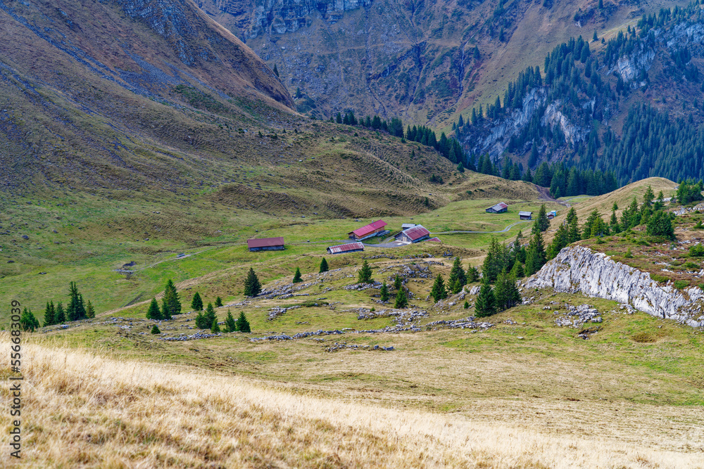 Axalp in the Swiss Alps with wooden cabins on a sunny autumn morning. Photo taken October 18th, 2022