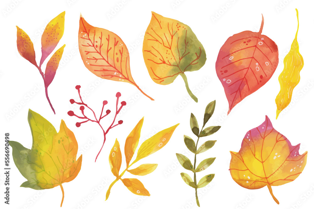 Watercolor autumn leaves collection Vector illustration.