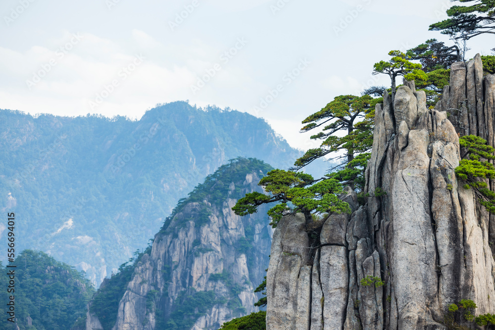 安徽省黄山风景区自然风光