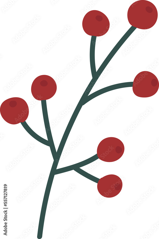 Winter berry leaf branch