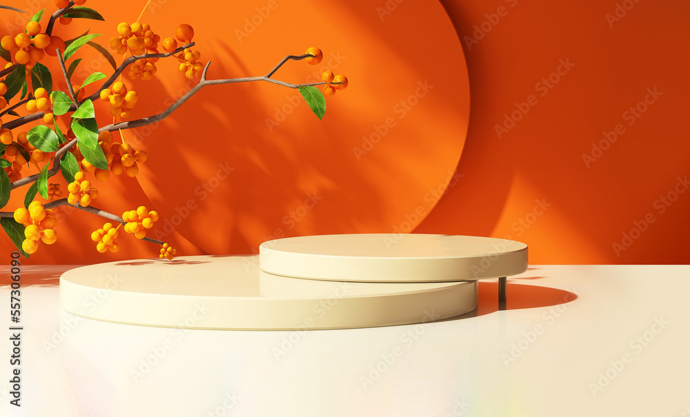 Two layer glossy cream round podium on table counter in dappled sunlight, orange branch, leaf shadow