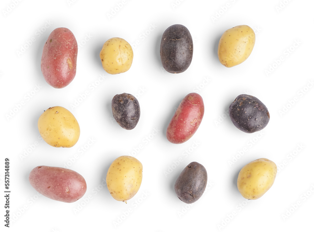 Composition with different types of raw potatoes on white background