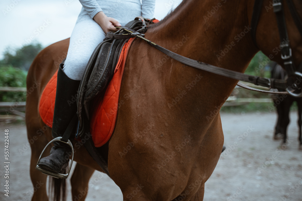 Equestrian athlete in gear sitting on horse saddle in outdoor background