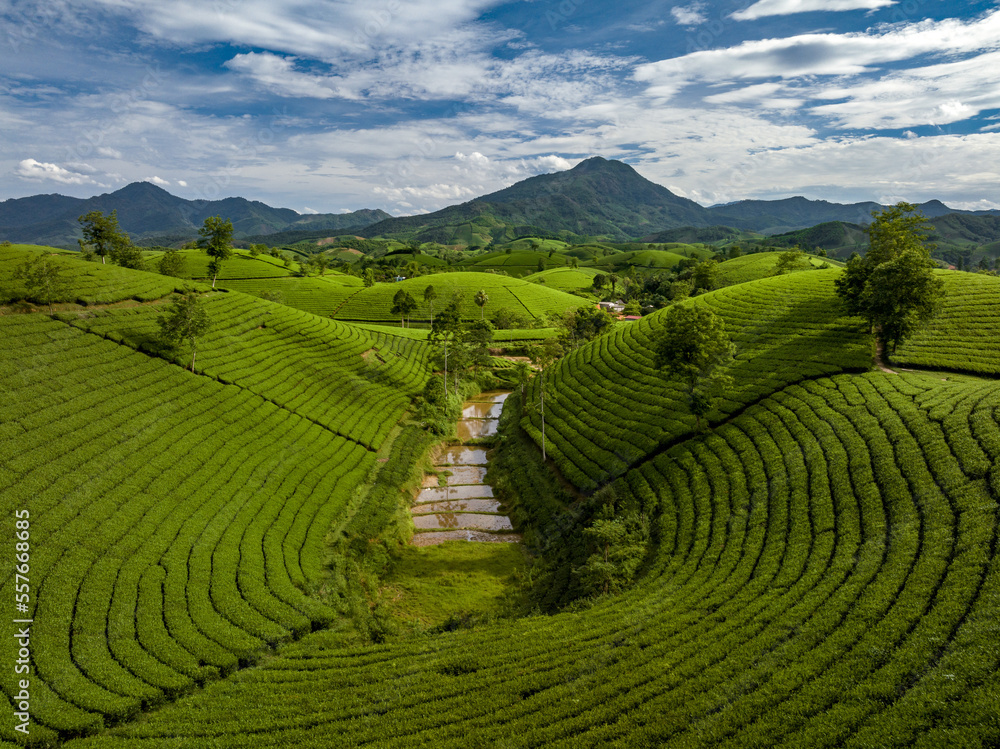 Aerial view of beatiful sunset at Long Coc tea hill, Phu Tho province, Vietnam