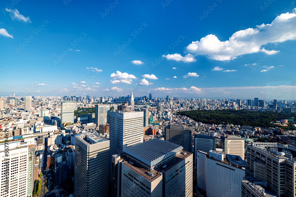 Skyscrapers towering above the cityscape of Nishi-Shinjuku, Tokyo, Japan