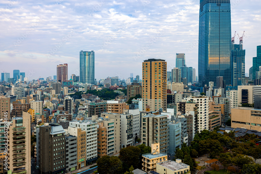 Skyscrapers and highways through Minato, Tokyo, Japan