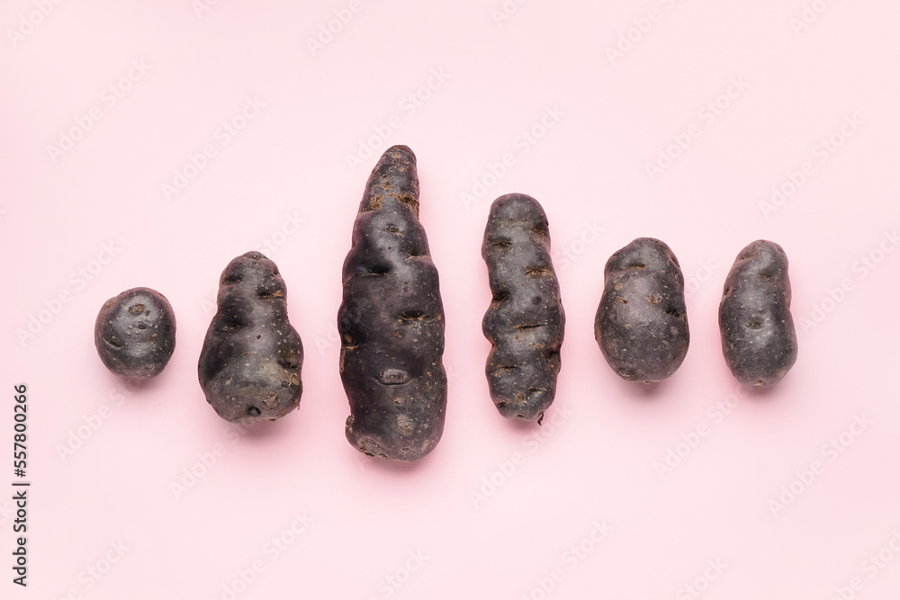 Raw purple potatoes on pink background