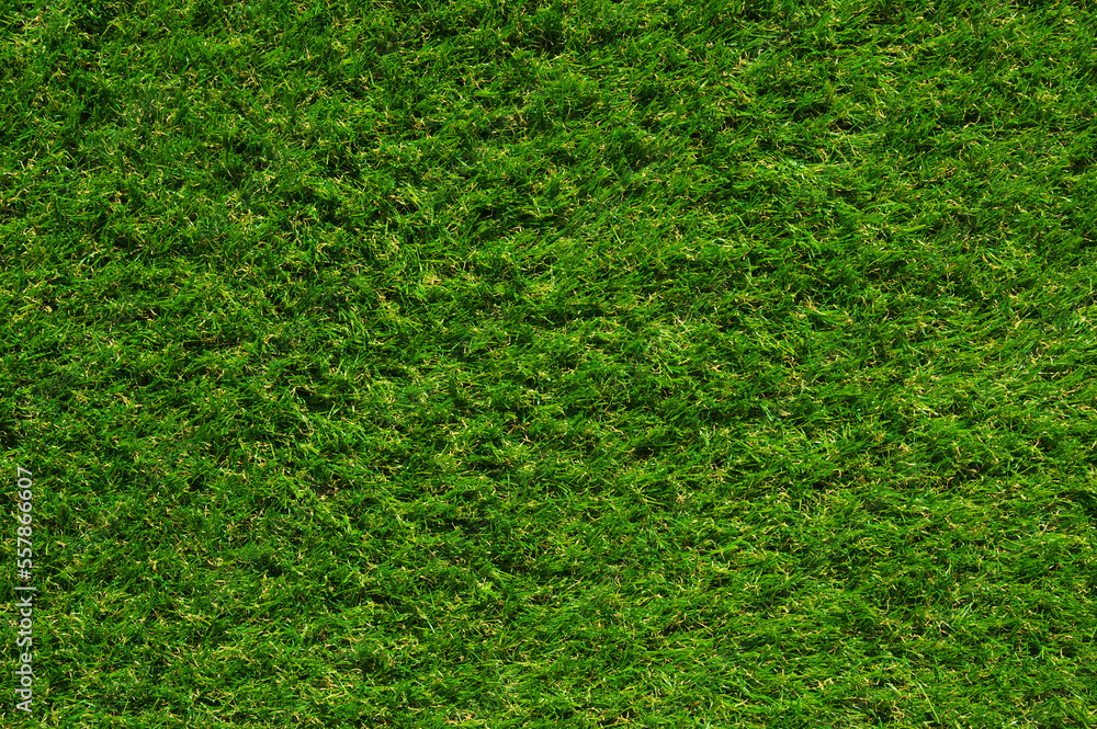 Green grass background top view