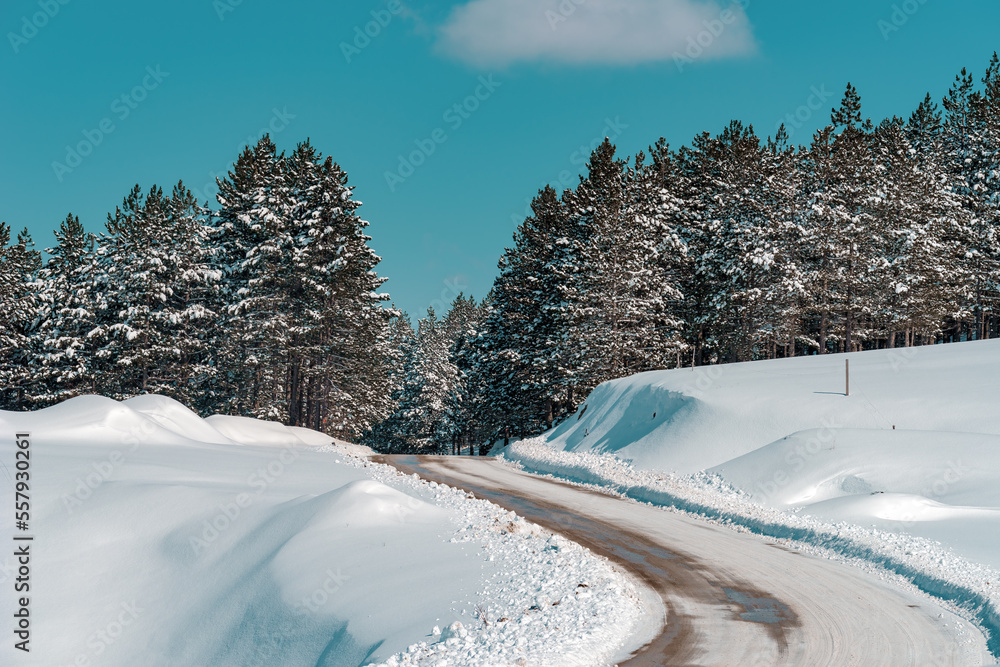 蜿蜒的空旷道路被雪覆盖，通向S州兹拉蒂博尔山的常青松林