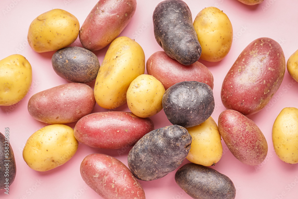 Heap of different raw potatoes on pink background