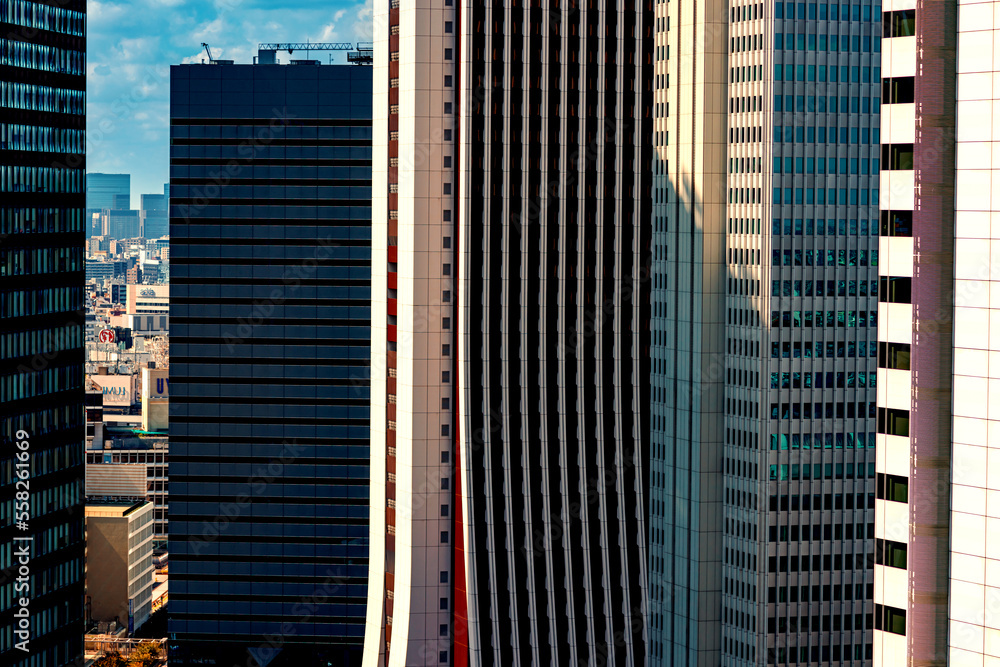 Skyscrapers towering above the cityscape of Nishi-Shinjuku, Tokyo, Japan