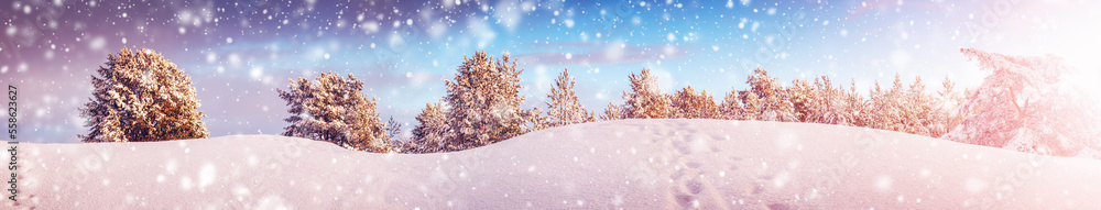 冬天神奇森林的清晨雪花飘落。