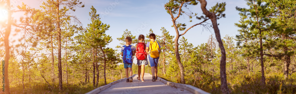 Children walking on the boardwalk on bog.