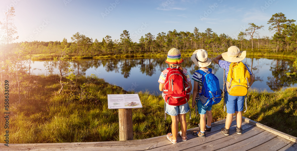 Children standing on the boardwalk on bog and looking on the lake.