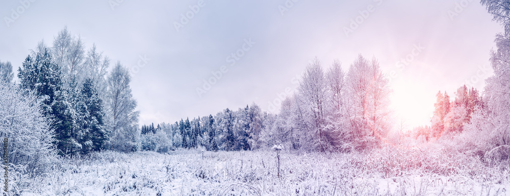 冬季天然雪地公园日出