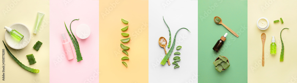 Collage of fresh aloe vera leaves and natural cosmetic products on color background