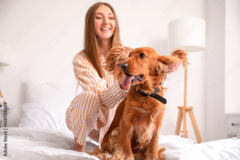 一个年轻的女人和一只红色可卡犬坐在家里的床上