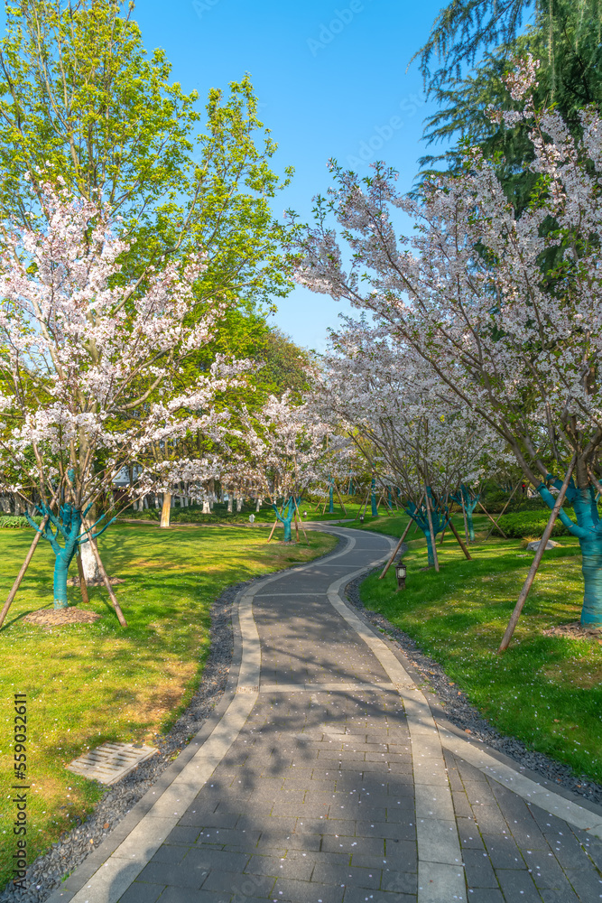 公园里的花儿开得很满