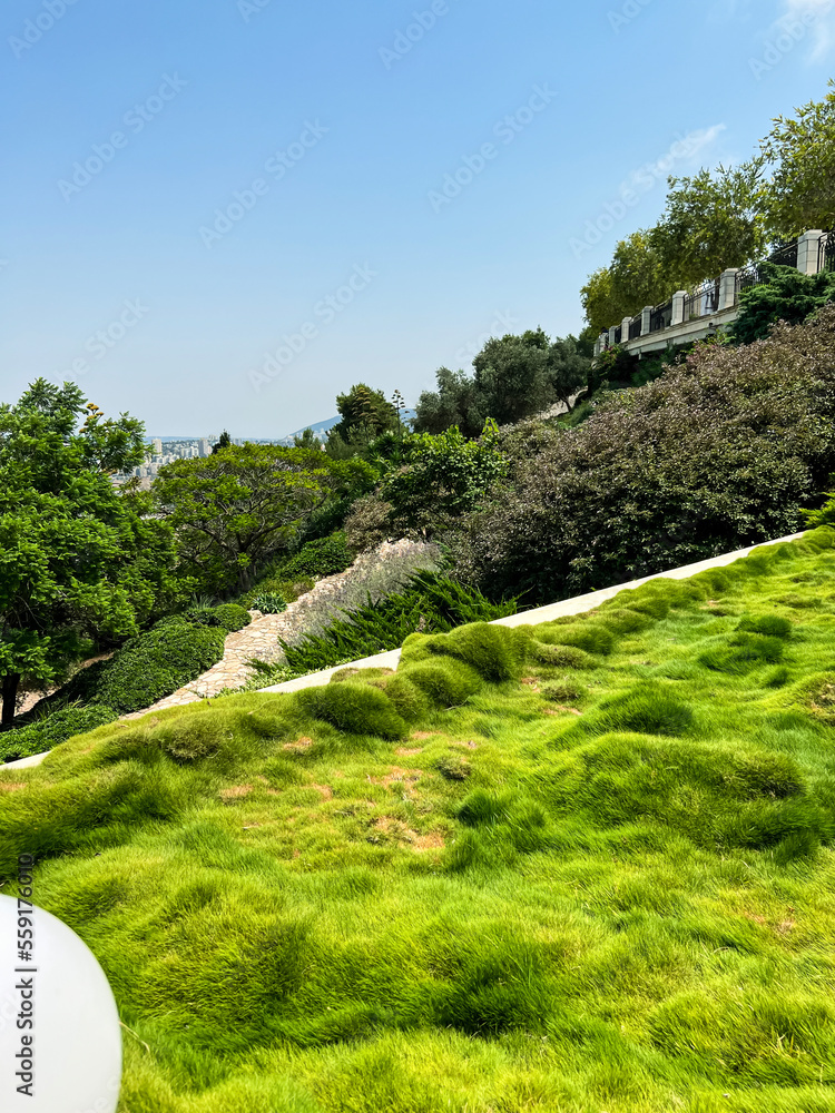 绿色草坪和植物的山丘景观