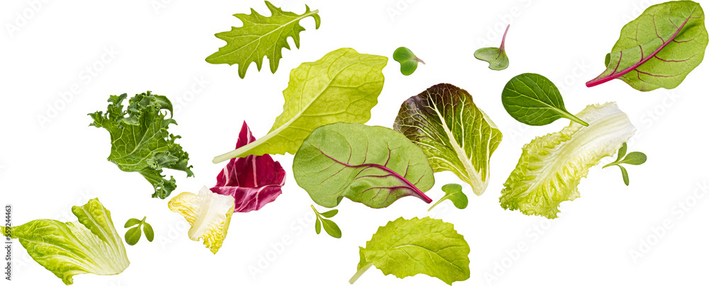 Falling salad leaves isolated 