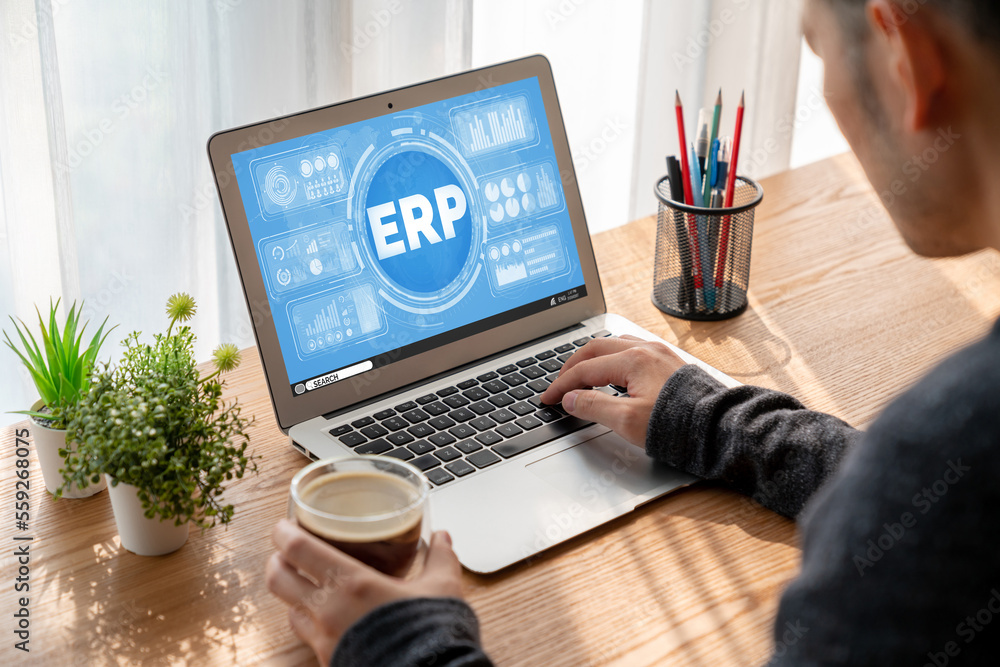 ERP enterprise resource planning software for modish business to plan the marketing strategy