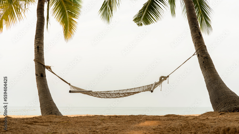 Hammock Rest在日落时拥有美丽海滩的热带岛屿上的两棵椰子树之间放松