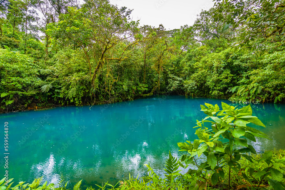 Rio Buenavista和Quebrada Agriaw交界处的水及其支流汇集在一起
1264262425,白色背景的纸质咖啡杯模型模板。逼真的咖啡品牌包装设计。