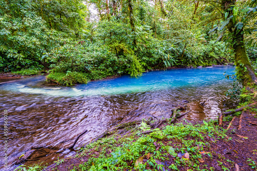 Rio Buenavista和Quebrada Agriaw交界处的水，其支流汇集在一起
1925929263,燃烧的灯泡-一个着火的灯泡的3D生成AI图像。从这种酸味中喷出的火焰