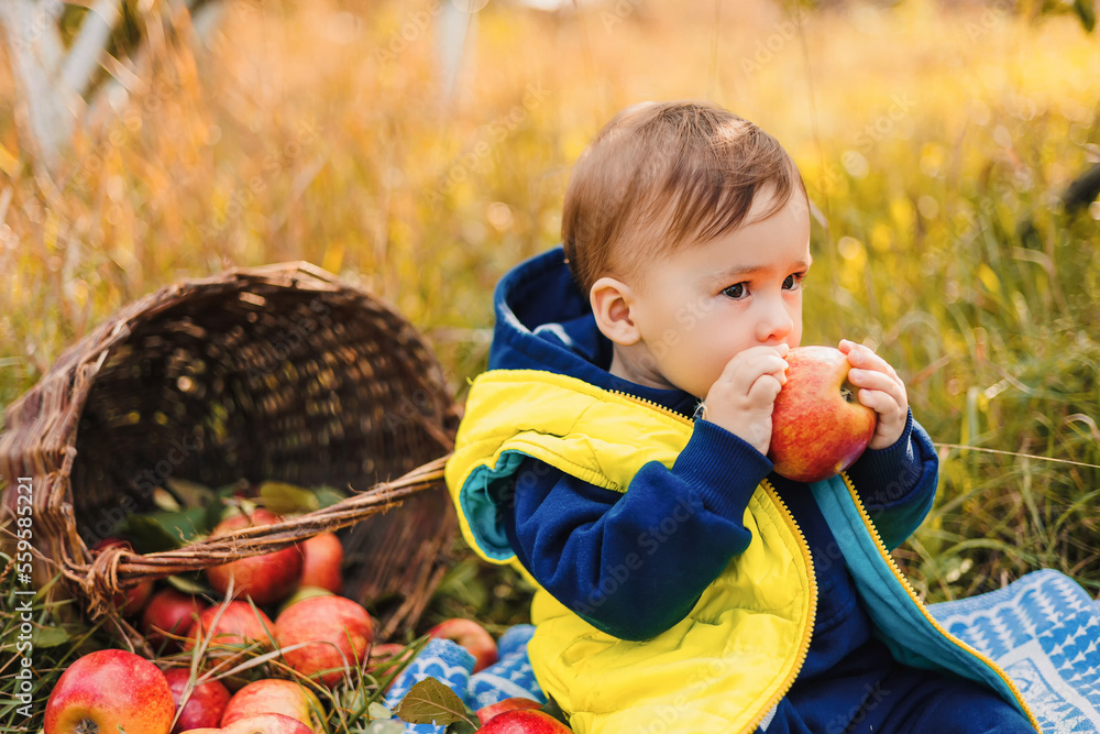 Happy little child holding apple in garden. Young kid with fruit.