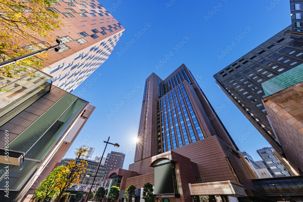 太陽の光が綺麗な東京のビル群